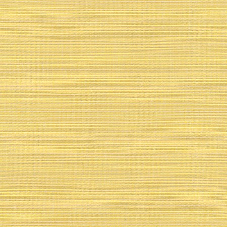 Dupione Cornsilk